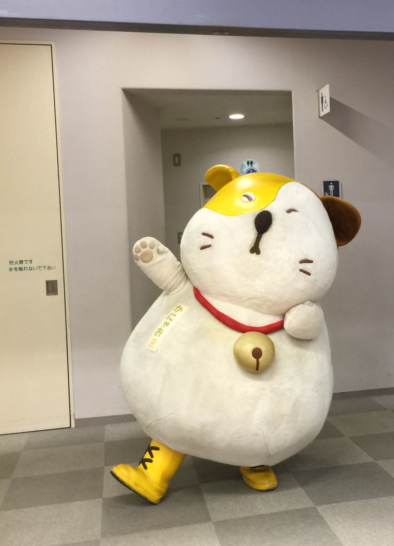 %e3%81%8b%e3%81%ab%e3%82%83%e3%81%8a – 認定NPO法人かながわ311ネットワーク